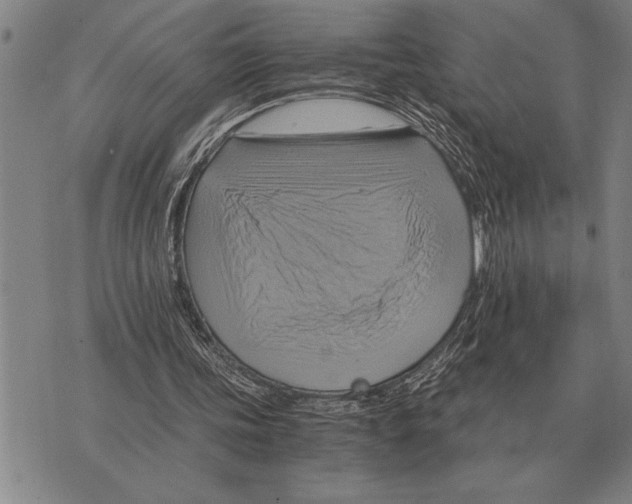 X0000075870339200610151706