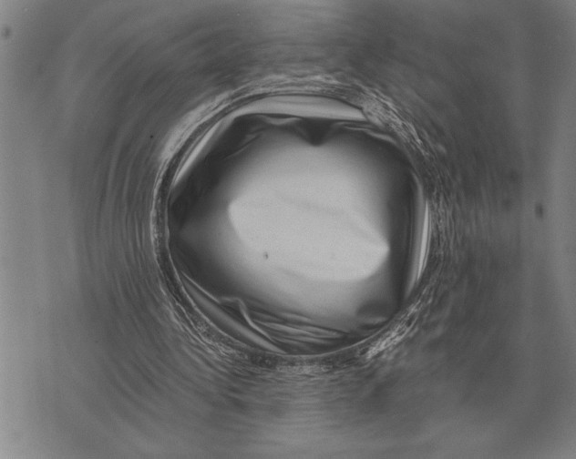 X0000075870340200610151706