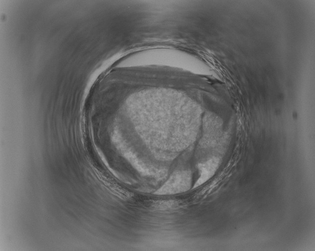 X0000075870342200610151706