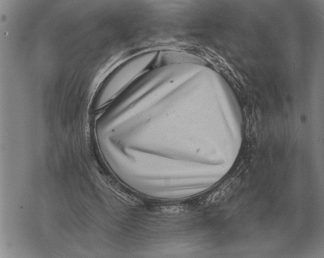 X0000075870344200610151706