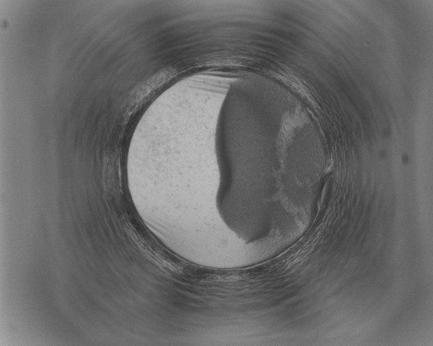 X0000075870349200610151706