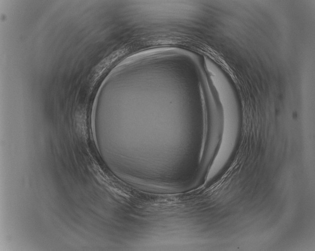 X0000075870386200610151706
