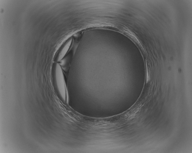 X0000075870387200610151706