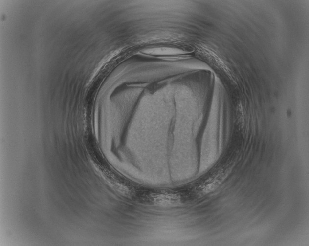X0000075870400200610151705