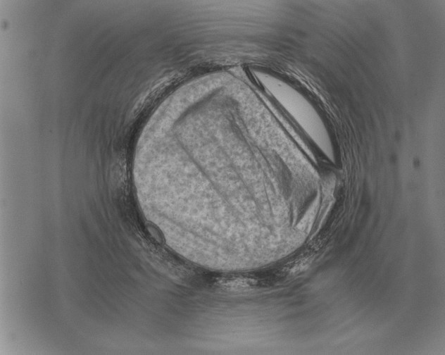 X0000075870407200610151705