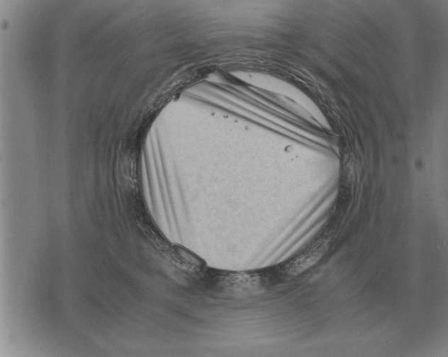 X0000075870421200610151705