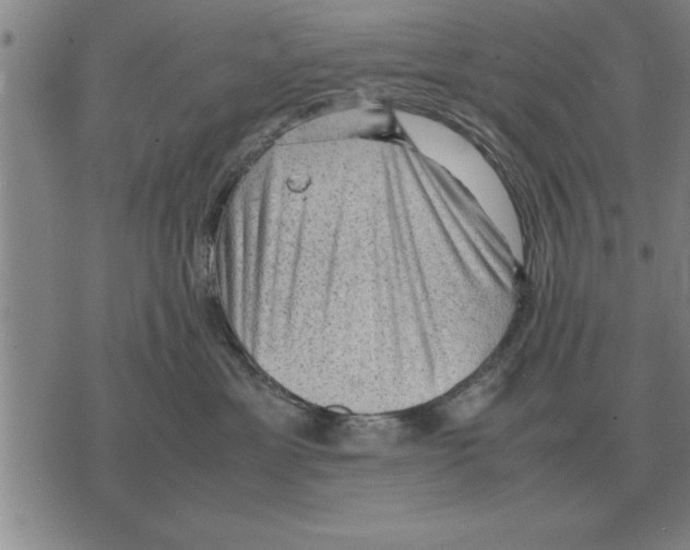 X0000075870429200610151705