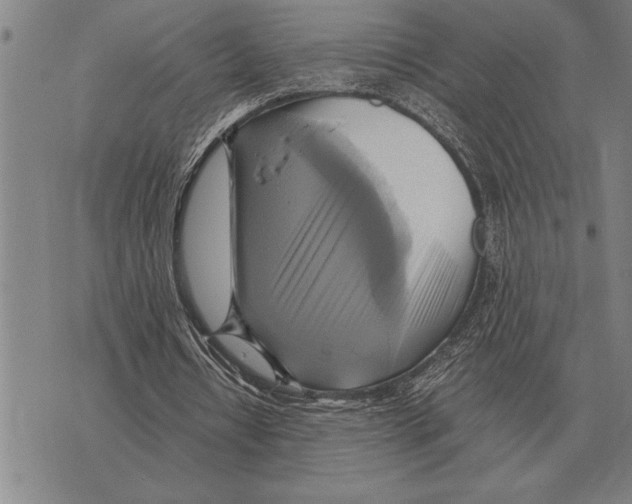 X0000075870434200610151704