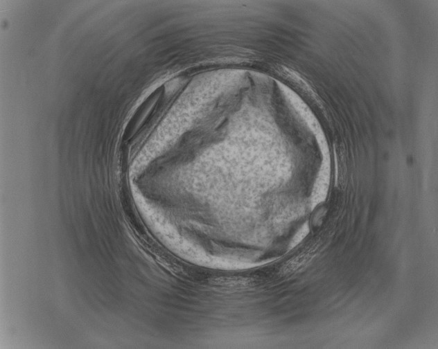 X0000075870435200610151704