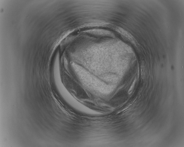 X0000075870436200610151704
