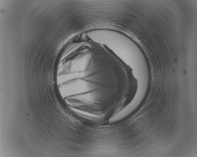X0000075870438200610151704