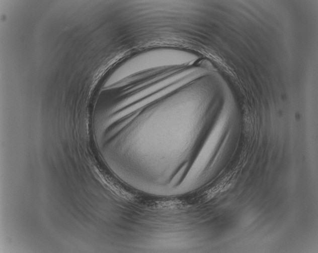 X0000075870446200610151704