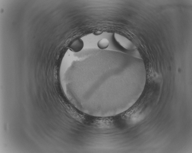 X0000075870466200610151705