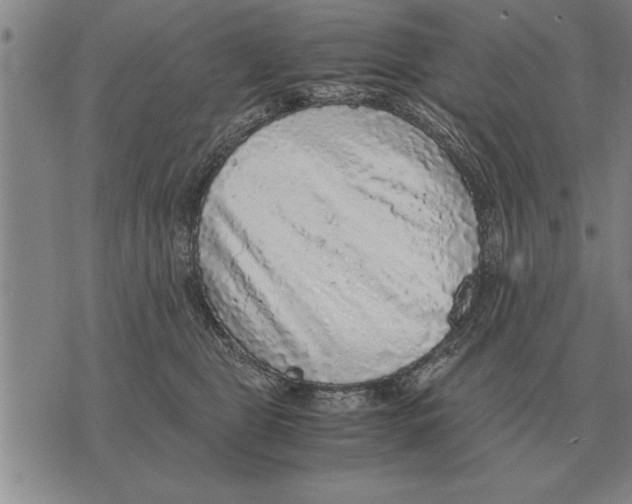 X0000075870469200610151705