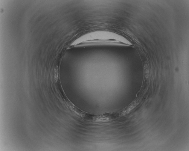 X0000075870471200610151705