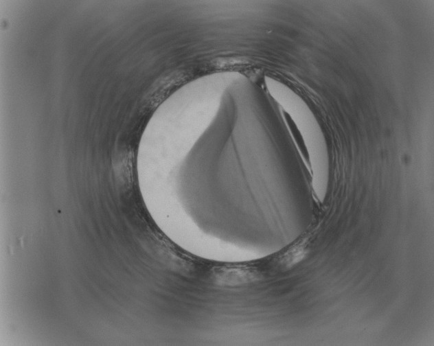 X0000075870475200610151705