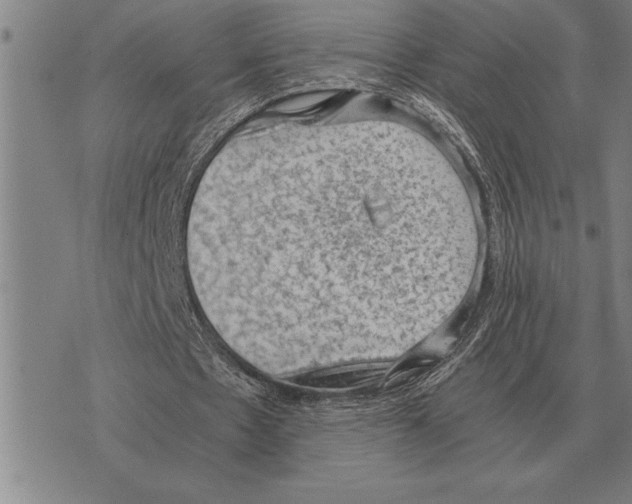 X0000075870481200610151704