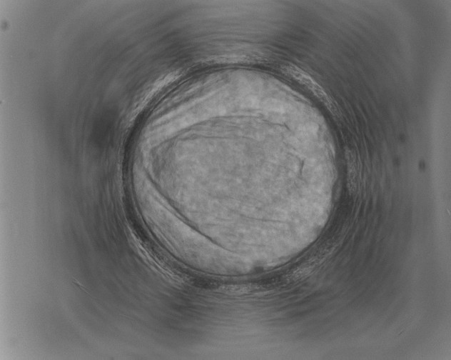 X0000075870482200610151704