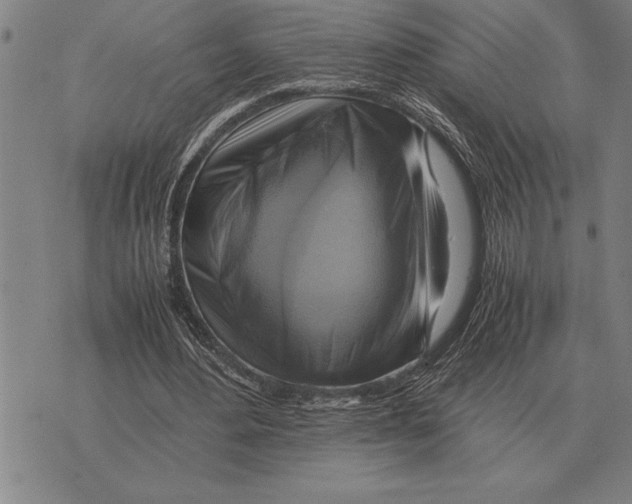 X0000075870484200610151704
