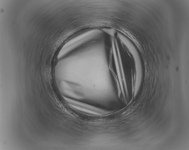 X0000075870485200610151704
