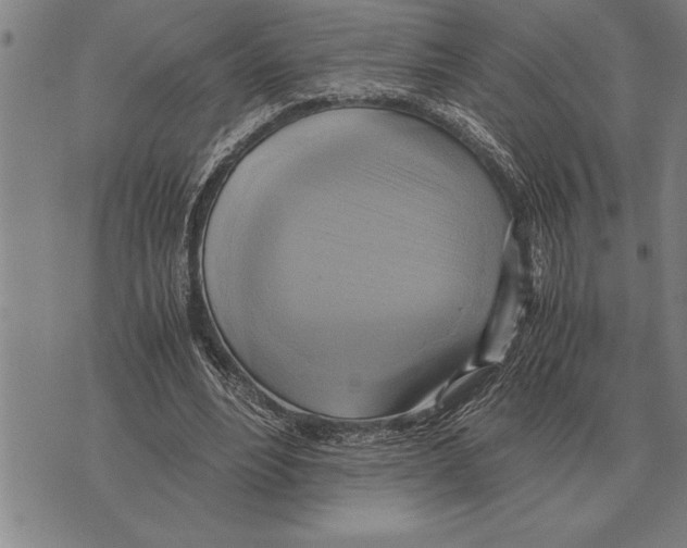 X0000075870488200610151704