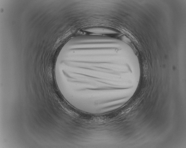 X0000075870489200610151704