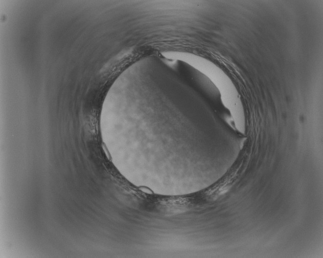 X0000075870517200610151704