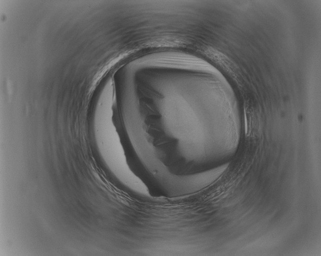 X0000075870531200610151703