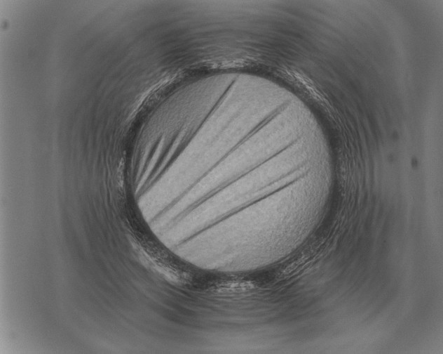 X0000075870543200610151703
