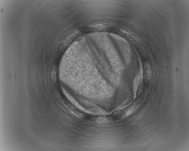X0000075870562200610151703