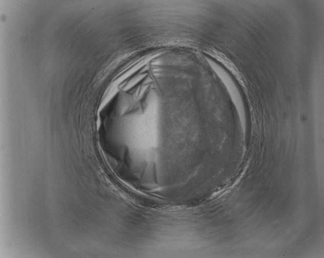 X0000075870577200610151703