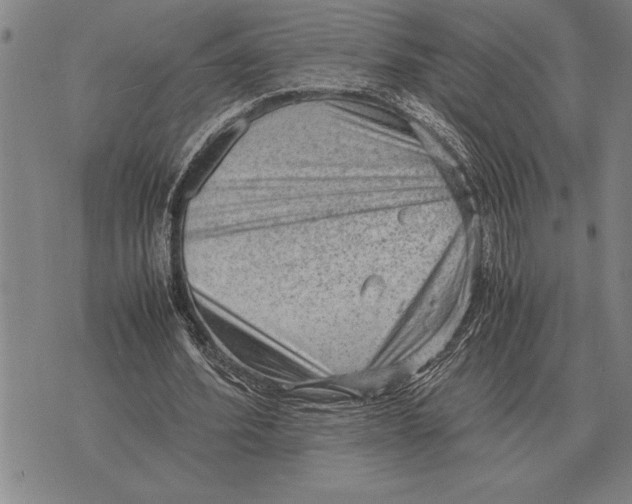 X0000075870580200610151703