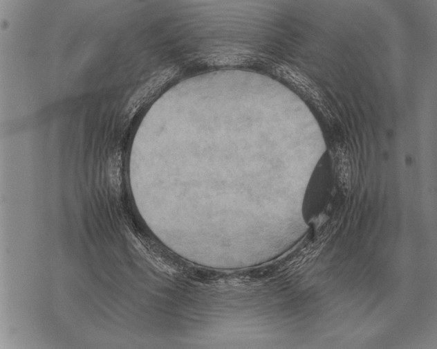 X0000075870586200610151702
