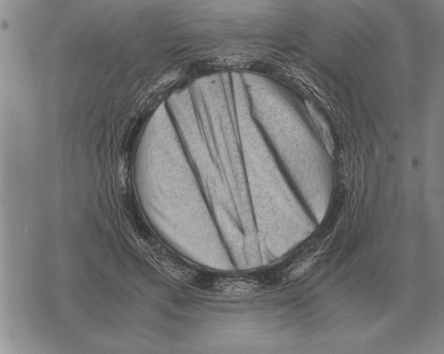X0000075870597200610151702