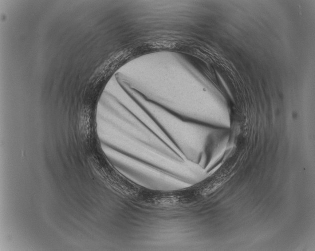 X0000075870600200610151702