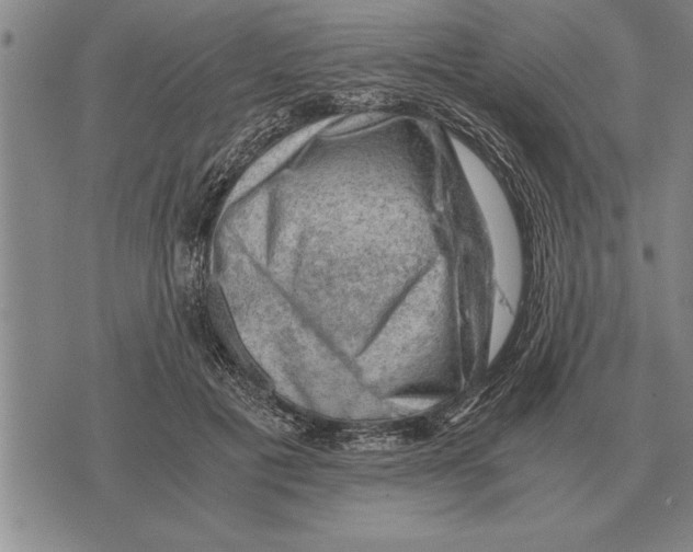 X0000075870601200610151702