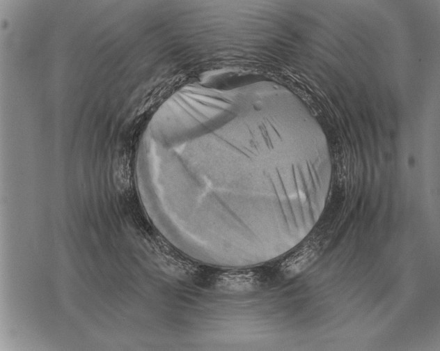 X0000075870606200610151702