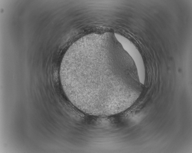 X0000075870613200610151702