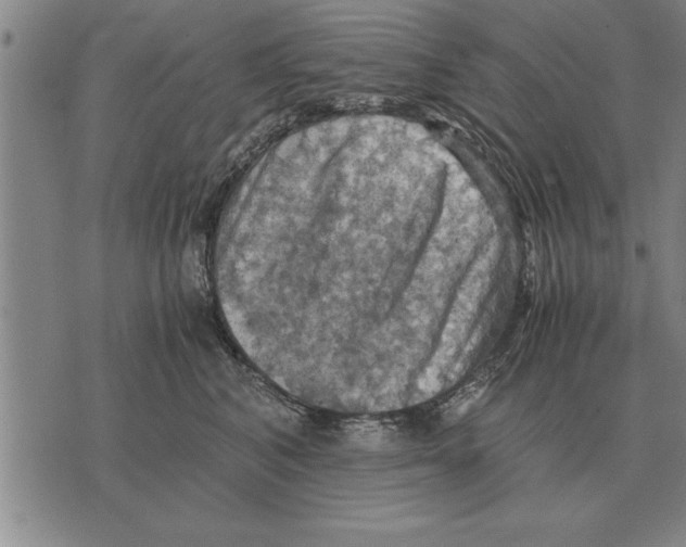X0000075870616200610151702