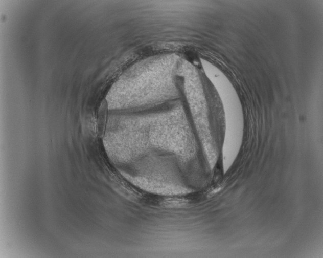 X0000075870617200610151702