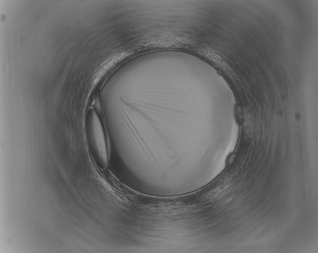 X0000075870626200610151701