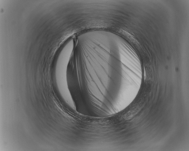 X0000075870627200610151701