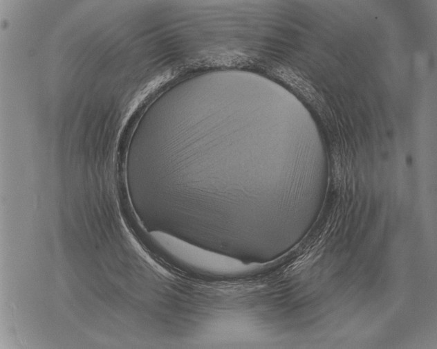 X0000075870630200610151701