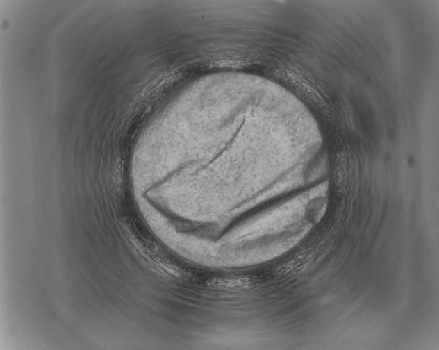X0000075870639200610151701
