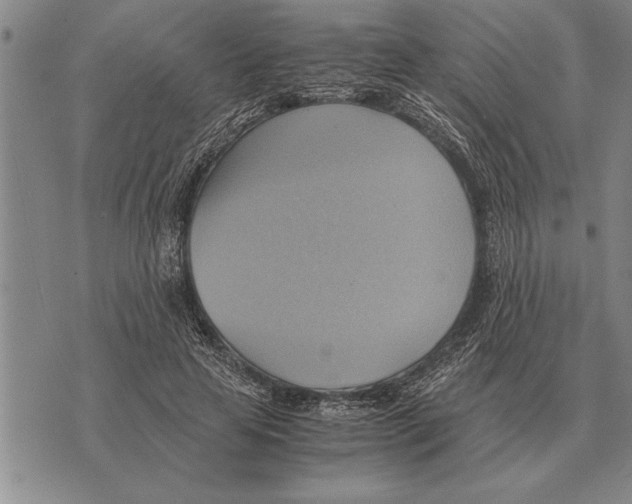 X0000075870641200610151701