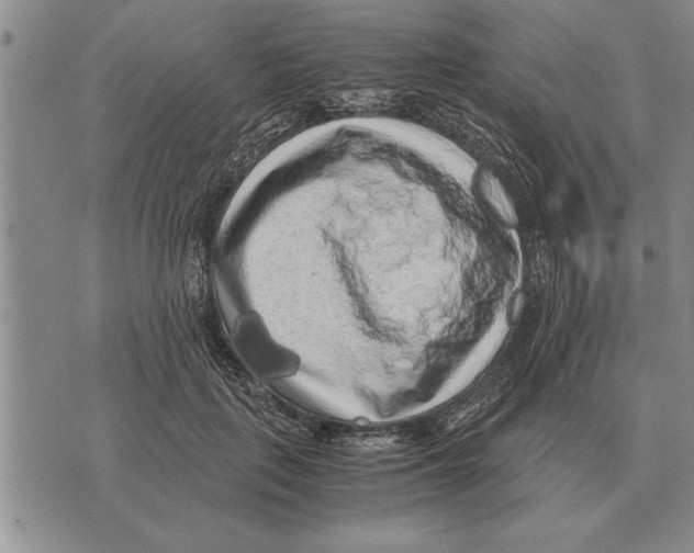 X0000075870651200610151701