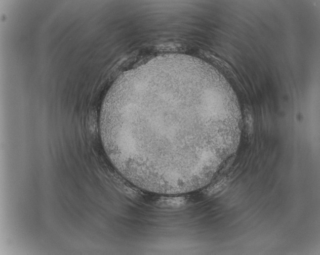 X0000075870665200610151702