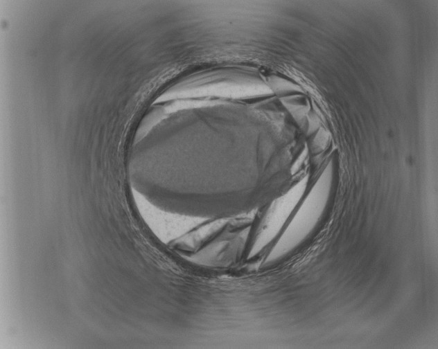 X0000075870673200610151701