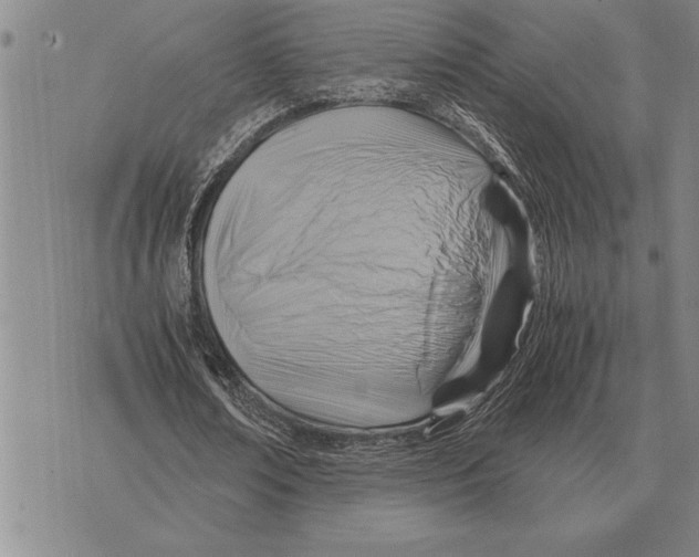 X0000075870674200610151701