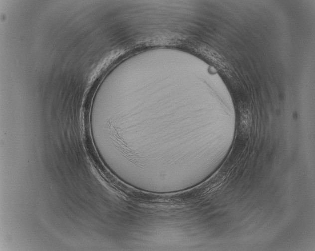 X0000075870678200610151701
